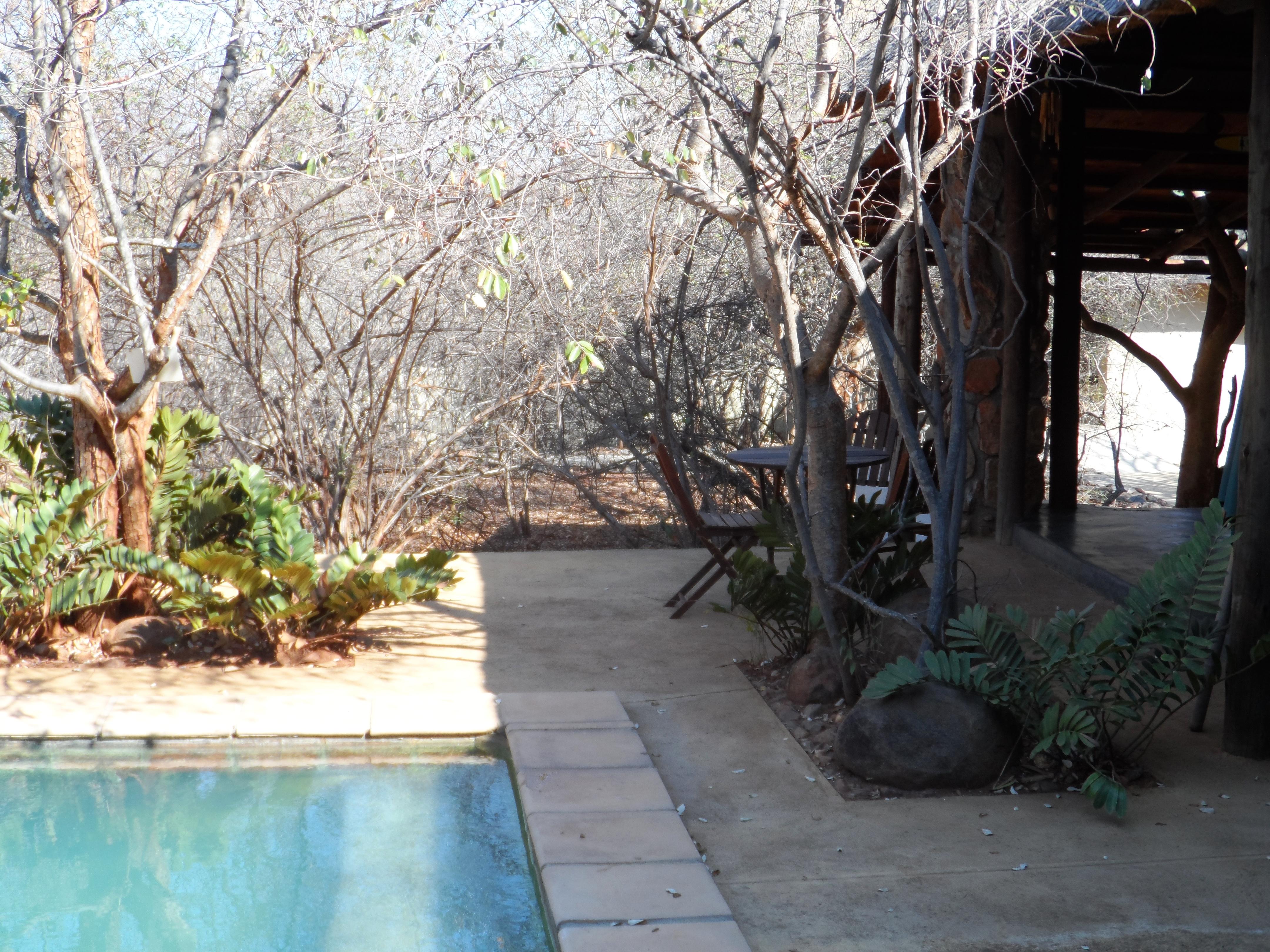 Shikwari Nature Reserve Hoedspruit Eksteriør billede
