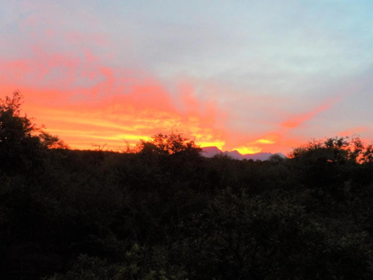 Shikwari Nature Reserve Hoedspruit Eksteriør billede